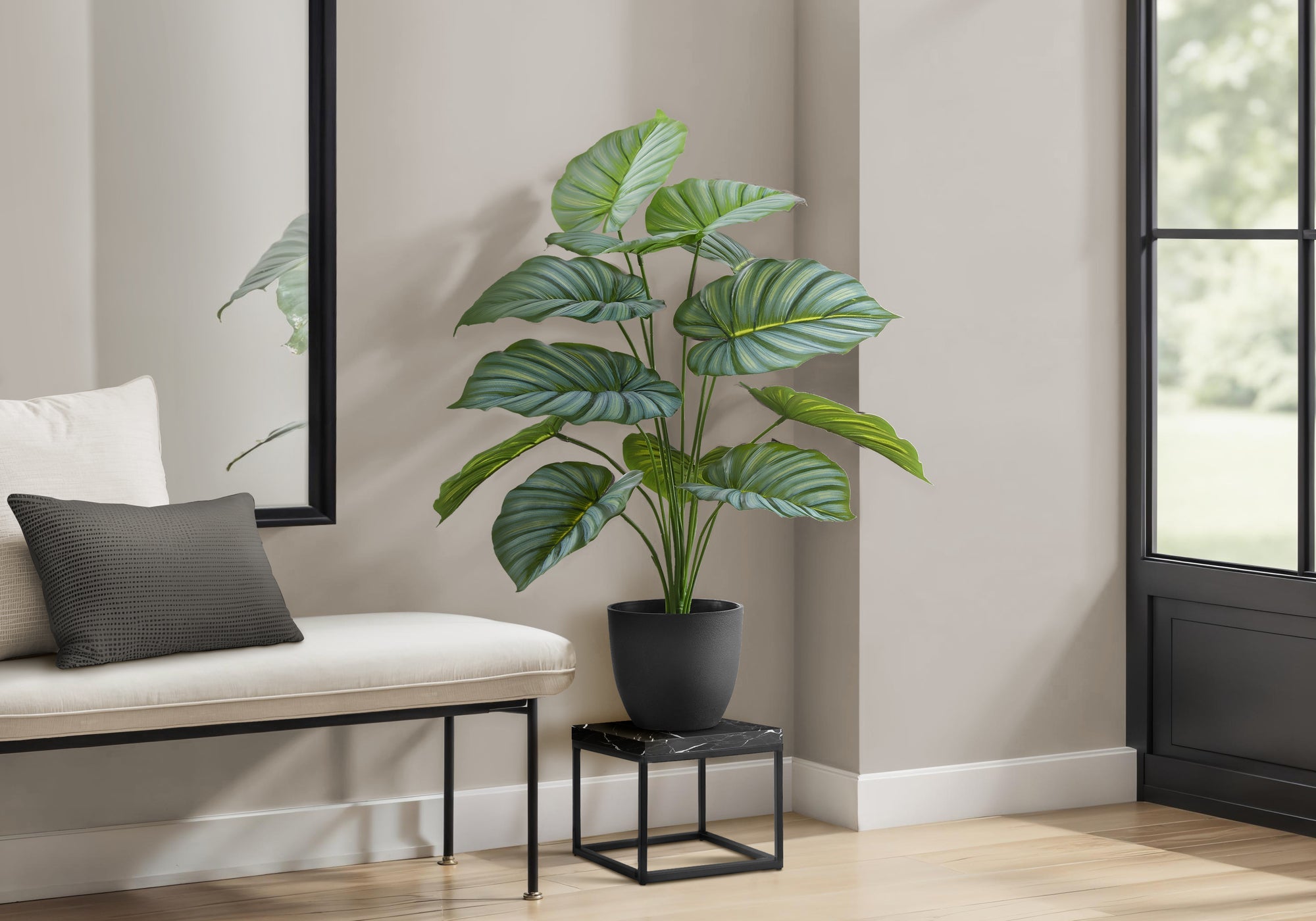 Medium Plants
