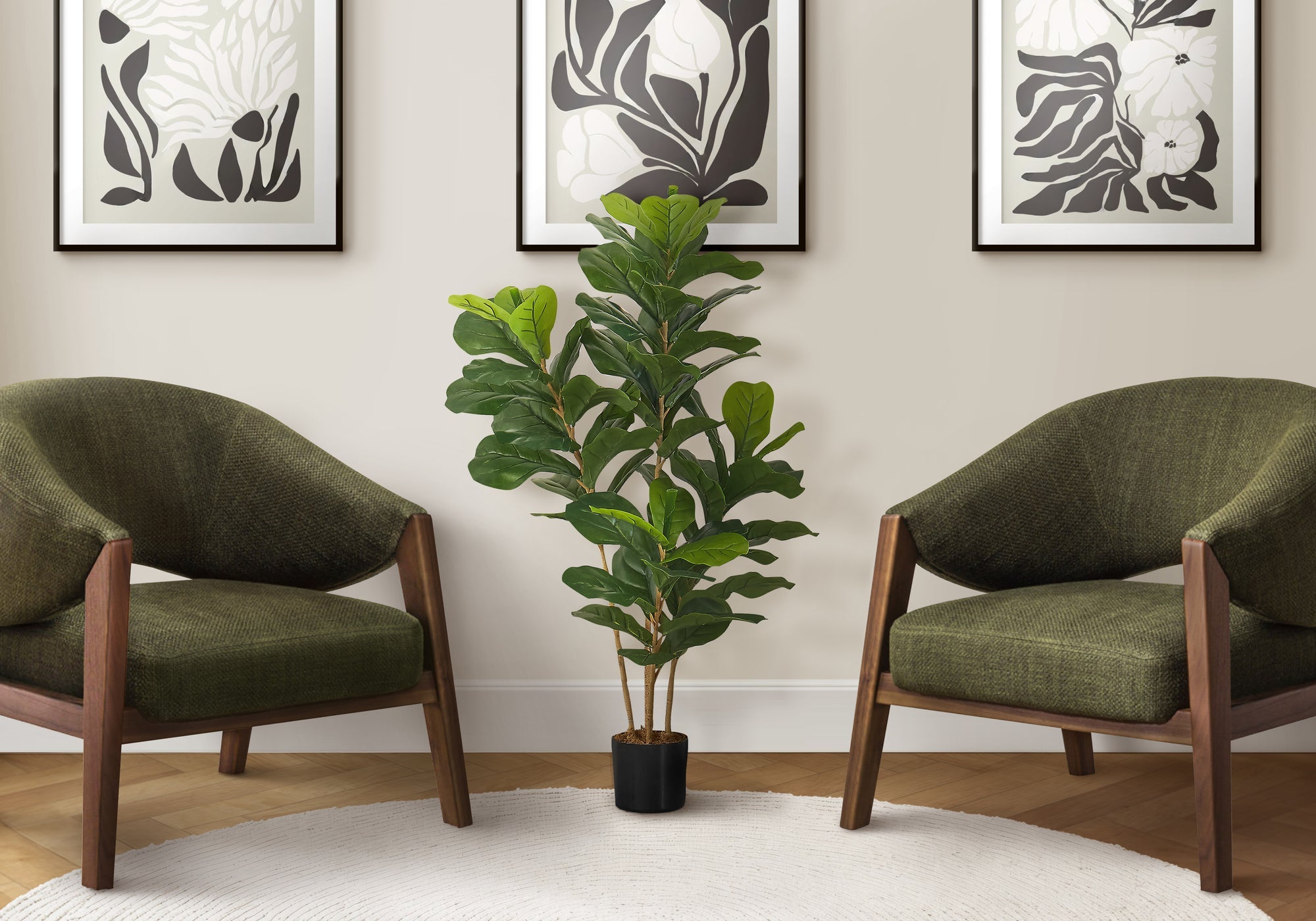 Fiddle Leaf Figs